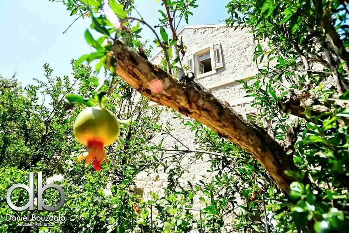 Villa.for.sale.Cremieux.street