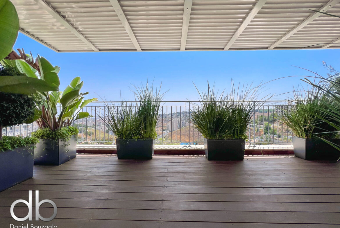 השגריר ארגוב 2 מיני פנטהאוס-15 השגריר ארגוב 2 מיני פנטהאוס