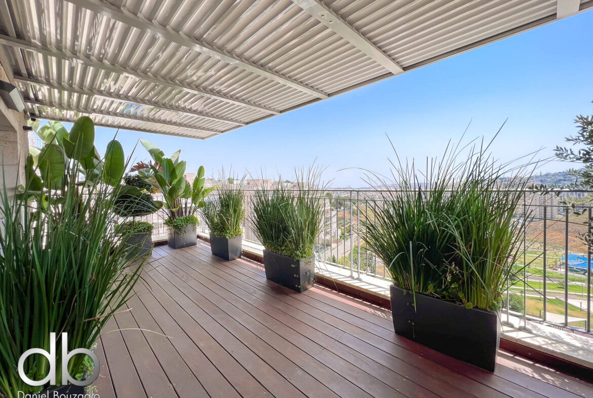 השגריר ארגוב 2 מיני פנטהאוס-16 השגריר ארגוב 2 מיני פנטהאוס