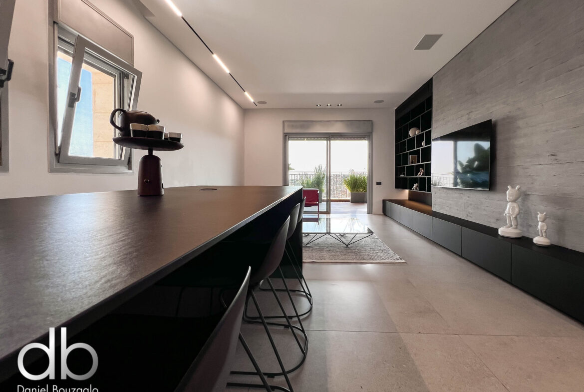 השגריר ארגוב 2 מיני פנטהאוס-43 השגריר ארגוב 2 מיני פנטהאוס