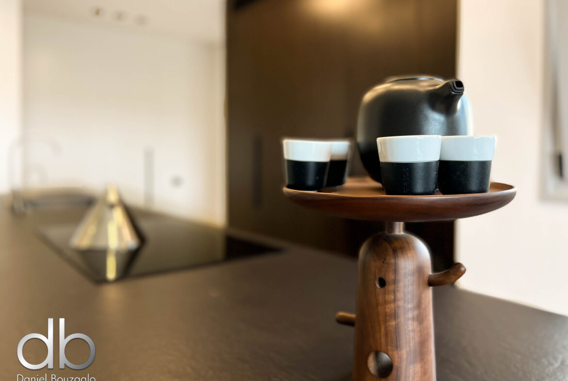 השגריר ארגוב 2 מיני פנטהאוס-52 השגריר ארגוב 2 מיני פנטהאוס