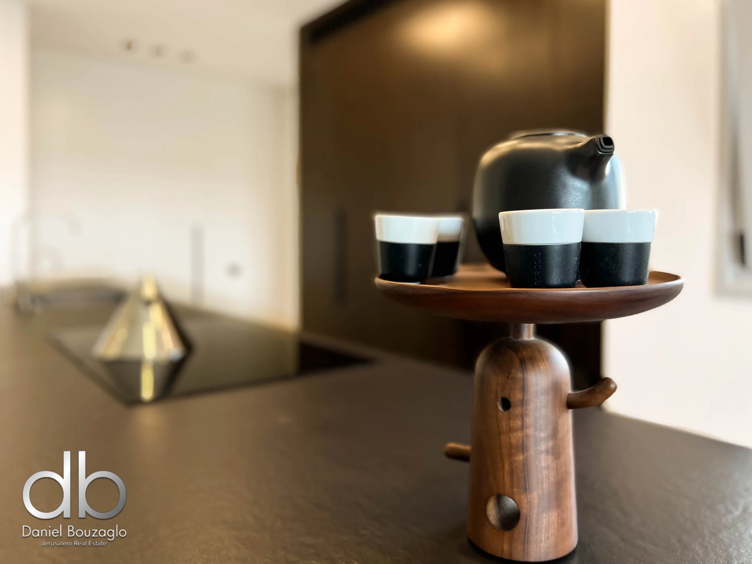 השגריר ארגוב 2 מיני פנטהאוס-52 השגריר ארגוב 2 מיני פנטהאוס