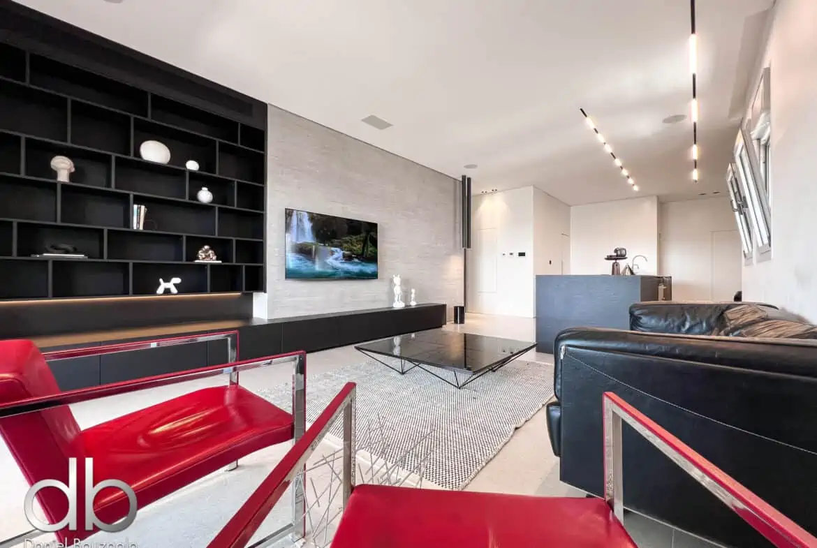 השגריר ארגוב 2 מיני פנטהאוס-56 השגריר ארגוב 2 מיני פנטהאוס