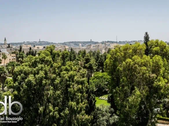 King David 28 street penthouse for sale