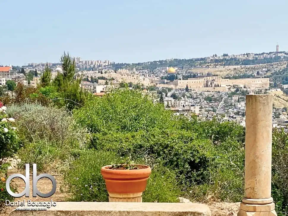 דירת גן ,נוף להר הבית רחוב כספי