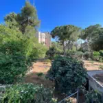 Arlozorov.street.Talbieh.3br