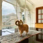 Chovevy Tzion street rental in Jerusalem 24 | Daniel Bouzaglo - Jerusalem Real Estate Chovevy Tzion street rental in Jerusalem