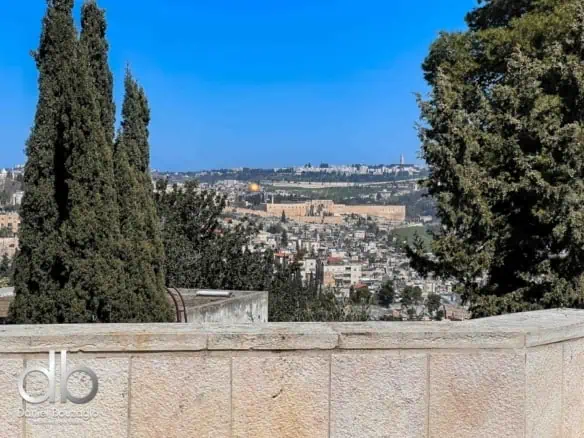 Caspi street Duplex penthouse