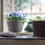 4 חדרים למכירה רחוב נחשון אבו תור