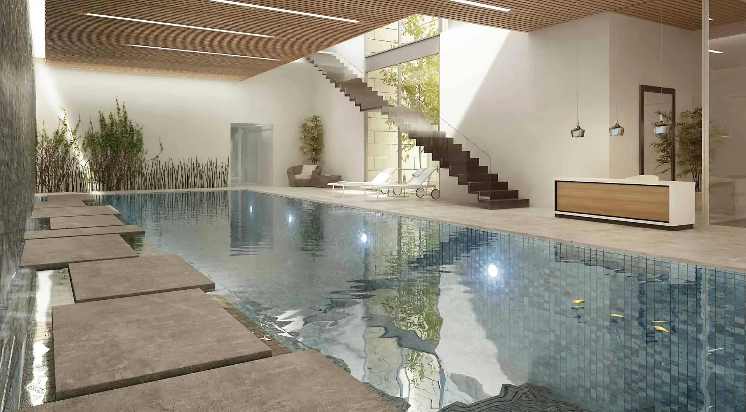 פורייקט צוותא מקור חיים פורייקט צוותא מקור חיים