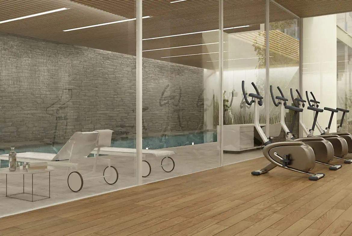 פורייקט צוותא מקור חיים פורייקט צוותא מקור חיים