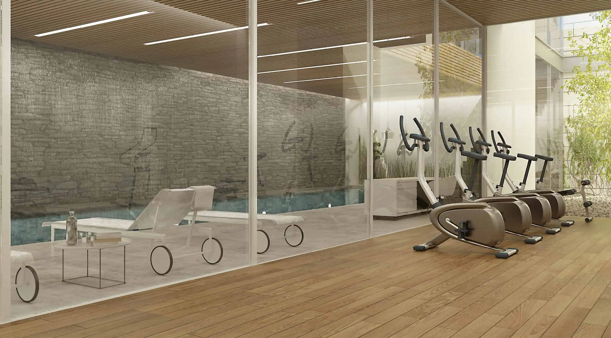 פורייקט צוותא מקור חיים פורייקט צוותא מקור חיים