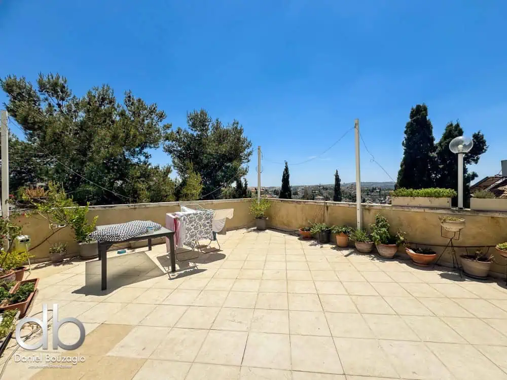 Rechavia Penthouse in Alfasi street with rights