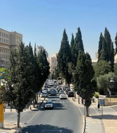 דירה להשכרה 3 חד ברחוב דוד המלך טלביה 1