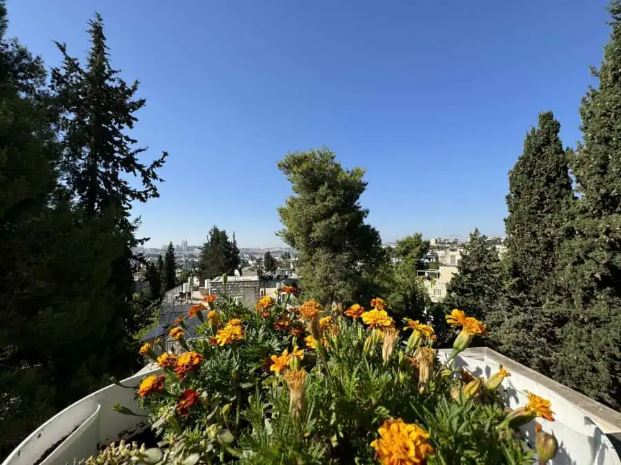 Hagdud Haivri roof apartment for sale