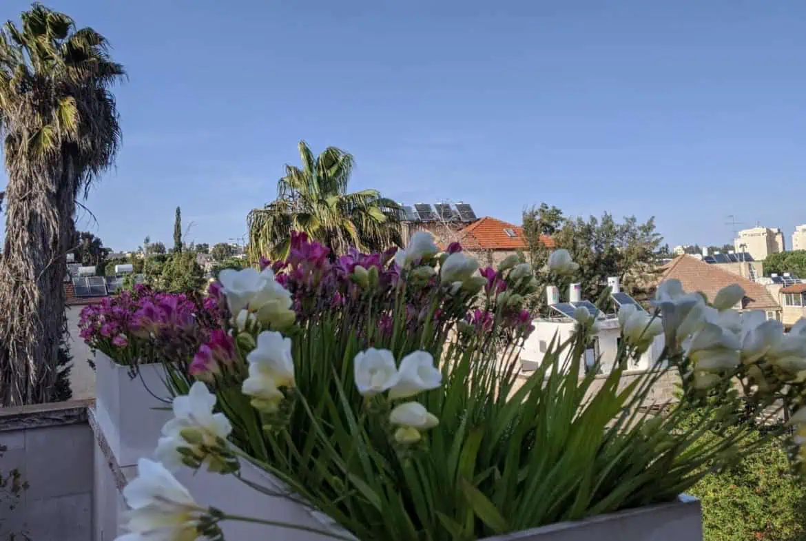 Old Katamon for sale duplex penthouse 155sqm 5 Old Katamon for sale duplex penthouse 155sqm