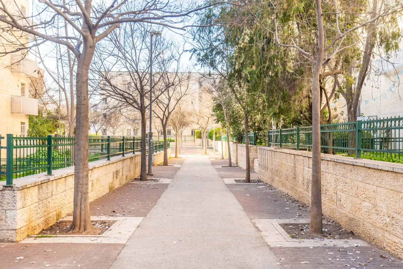 דירה למכירה ברחוב דב רוזנשטיין שכונת פת ירושלים פינוי בינוי 9 דירה למכירה ברחוב דב רוזנשטיין שכונת פת ירושלים פינוי בינוי