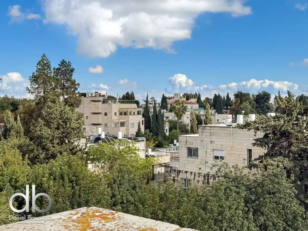 Ben Maimon Jerusalem roof aprartment for sale 