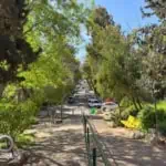 שכונת בית הכרם תמונות כלליות