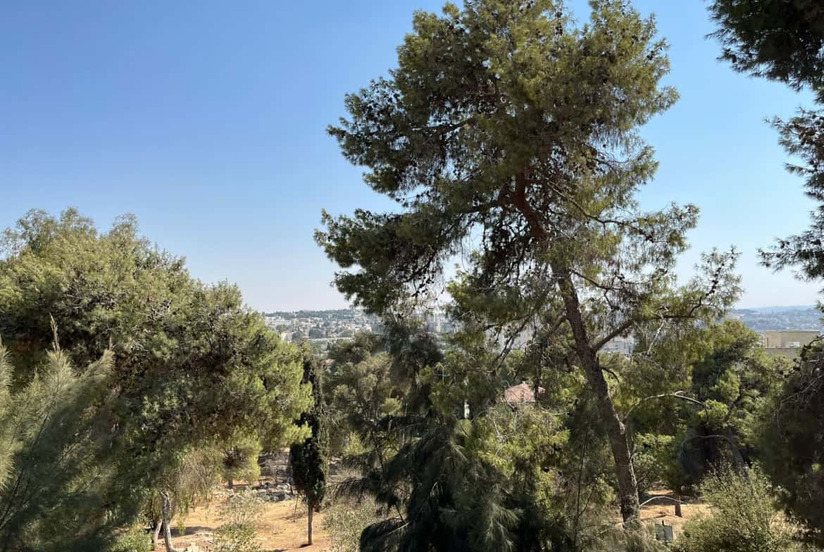 דירה להשכרה בשופן 4 חדרים