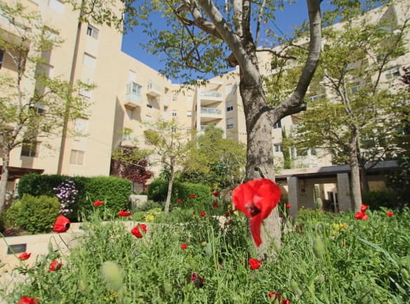 Sunlit North Baka Gem - Modern 3-Bedroom Apartment