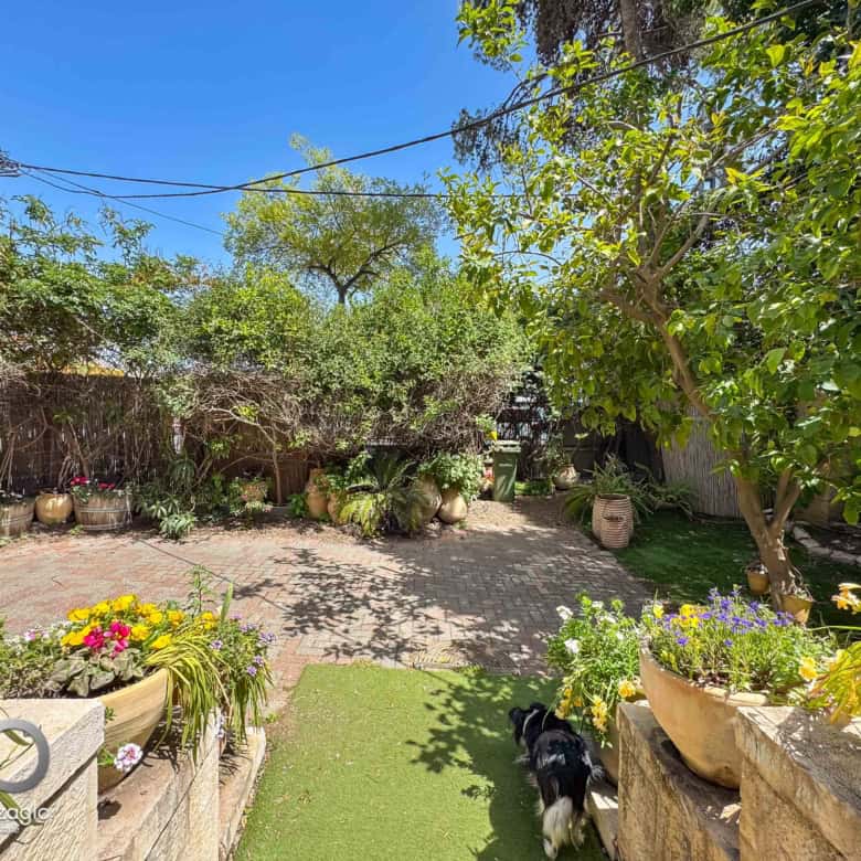 Beautiful lush garden with vibrant flowers and mature trees in Baka, Jerusalem, perfect for outdoor living and relaxation.