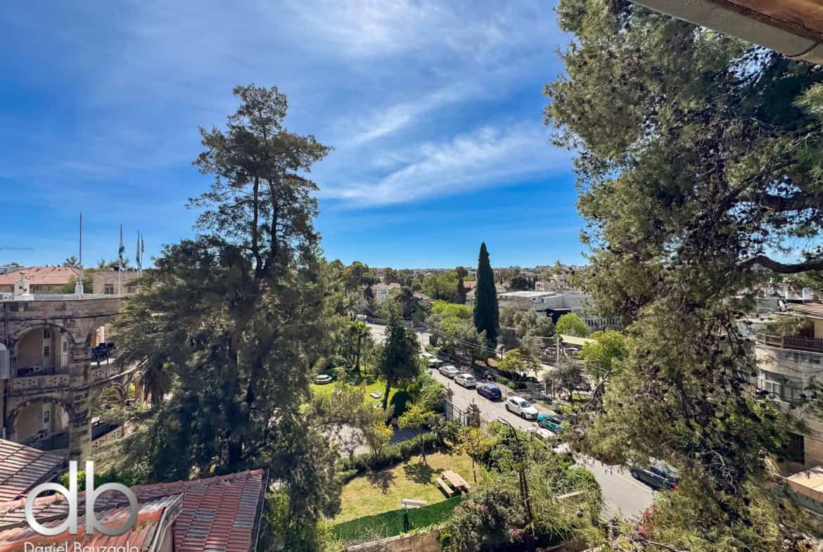 Sunny urban scene with tall trees, low-rise buildings, and parked cars under a clear blue sky.